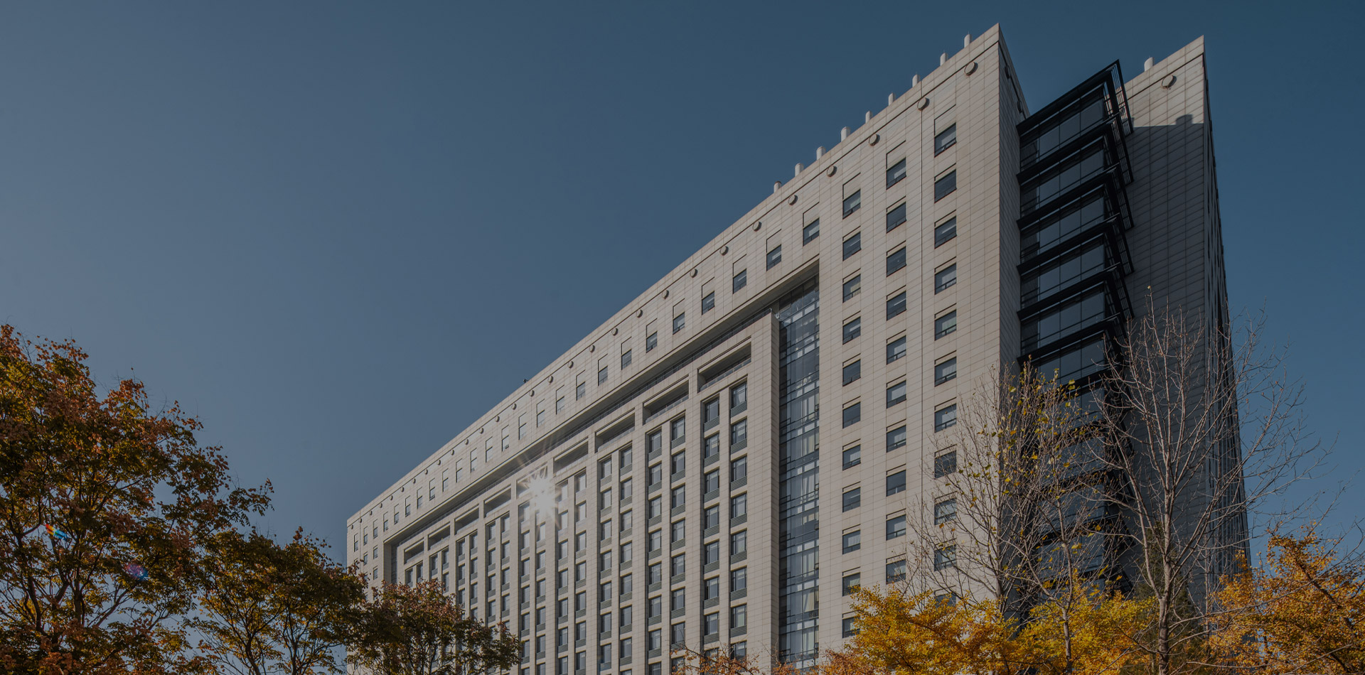 凤凰同盟平台注册·(唯一)官方网站